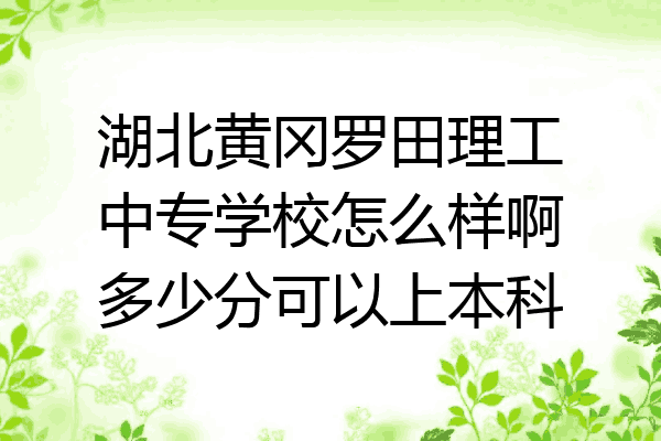 湖北黄冈罗田理工中专学校怎么样啊多少分可以上本科