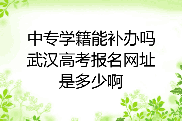 中专学籍能补办吗武汉高考报名网址是多少啊