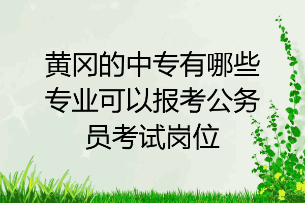 黄冈的中专有哪些专业可以报考公务员考试岗位