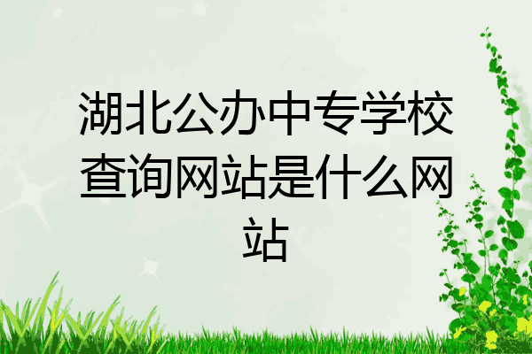 湖北公办中专学校查询网站是什么网站
