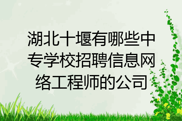 湖北十堰有哪些中专学校招聘信息网络工程师的公司