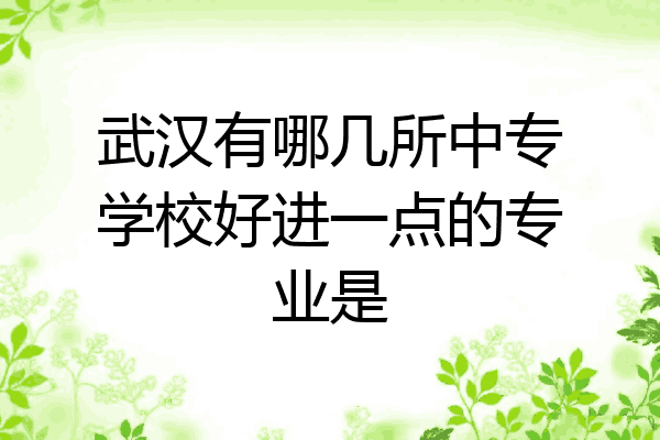 武汉有哪几所中专学校好进一点的专业是