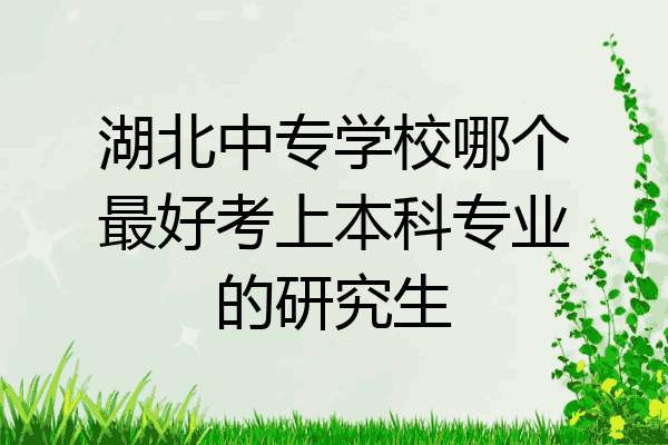 湖北中专学校哪个最好考上本科专业的研究生