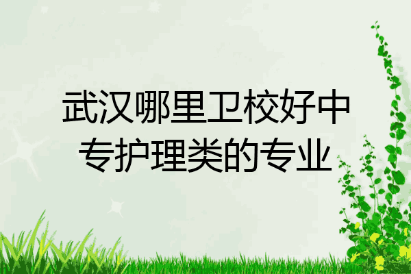 武汉哪里卫校好中专护理类的专业