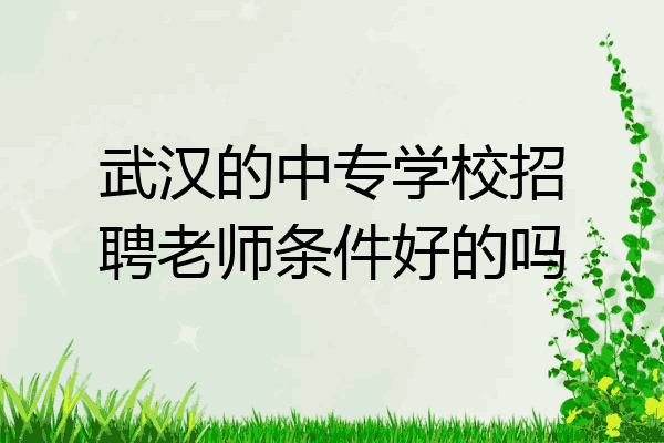 武汉的中专学校招聘老师条件好的吗