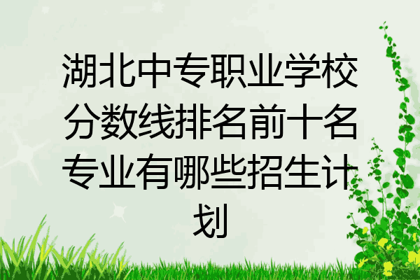 湖北中专职业学校分数线排名前十名专业有哪些招生计划