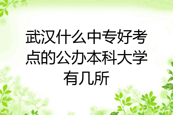 武汉什么中专好考点的公办本科大学有几所