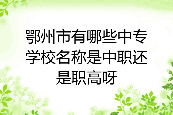鄂州市有哪些中专学校名称是中职还是职高呀