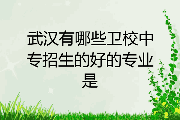武汉有哪些卫校中专招生的好的专业是