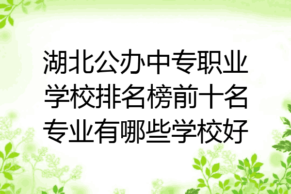 湖北公办中专职业学校排名榜前十名专业有哪些学校好