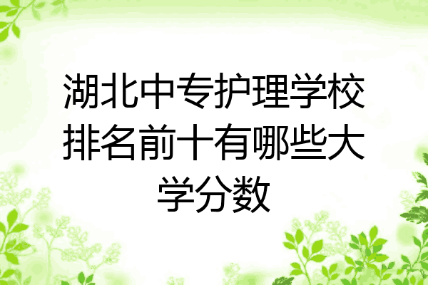 湖北中专护理学校排名前十有哪些大学分数