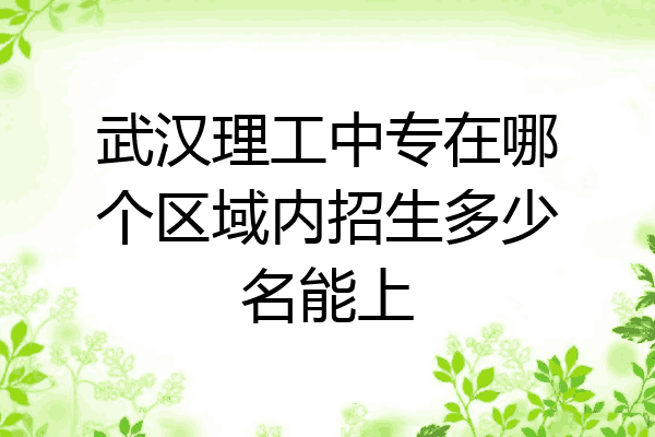 武汉理工中专在哪个区域内招生多少名能上