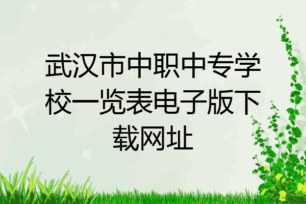 武汉市中职中专学校一览表电子版下载网址