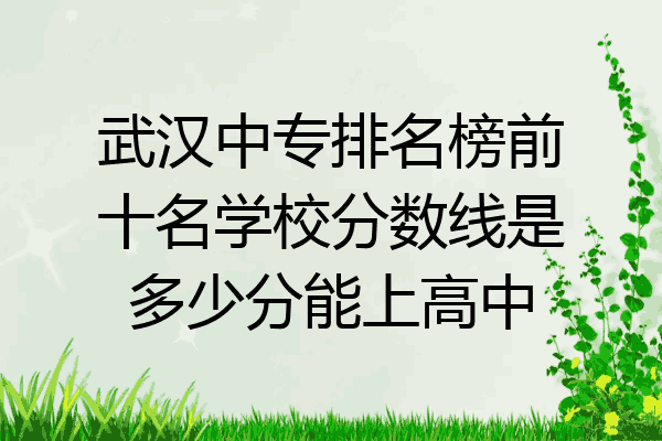 武汉中专排名榜前十名学校分数线是多少分能上高中