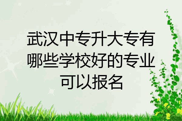 武汉中专升大专有哪些学校好的专业可以报名