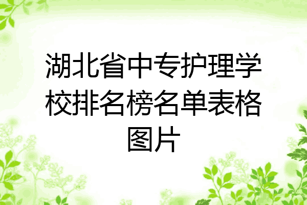 湖北省中专护理学校排名榜名单表格图片