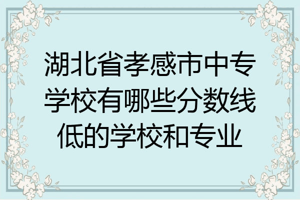 湖北省孝感市中专学校有哪些分数线低的学校和专业
