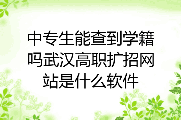 中专生能查到学籍吗武汉高职扩招网站是什么软件