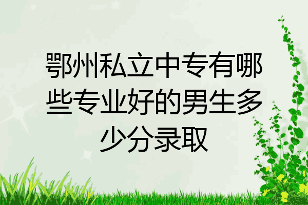 鄂州私立中专有哪些专业好的男生多少分录取