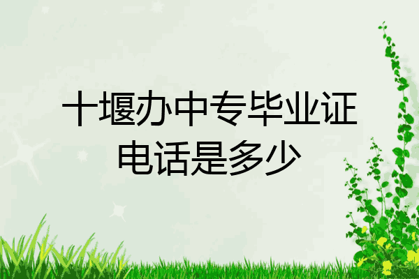 十堰办中专毕业证电话是多少