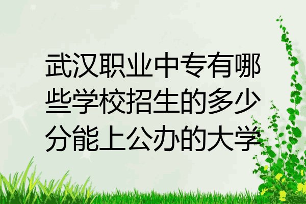 武汉职业中专有哪些学校招生的多少分能上公办的大学