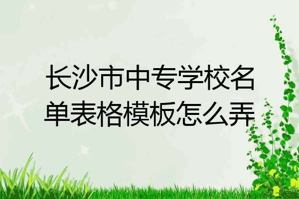 长沙市中专学校名单表格模板怎么弄
