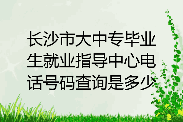 长沙市大中专毕业生就业指导中心电话号码查询是多少