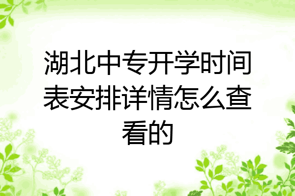 湖北中专开学时间表安排详情怎么查看的