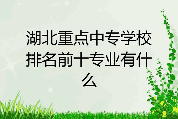 湖北重点中专学校排名前十专业有什么