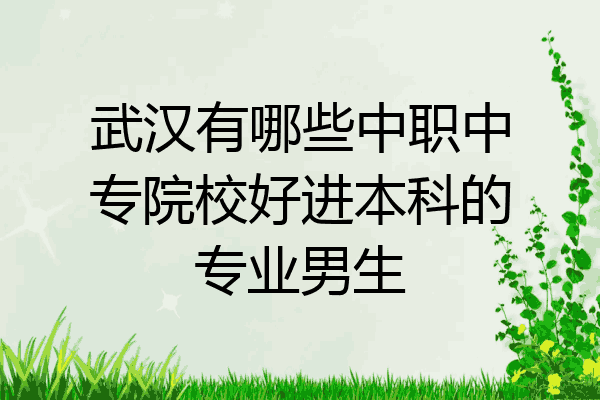 武汉有哪些中职中专院校好进本科的专业男生