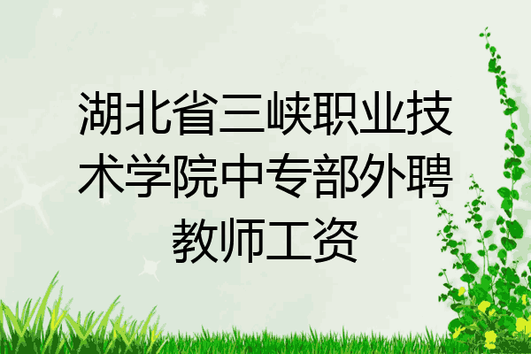 湖北省三峡职业技术学院中专部外聘教师工资