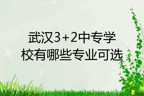 武汉3+2中专学校有哪些专业可选