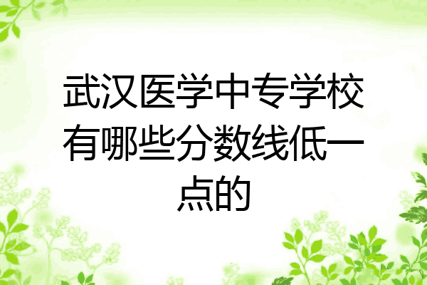 武汉医学中专学校有哪些分数线低一点的