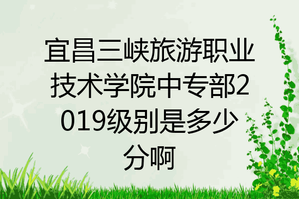 宜昌三峡旅游职业技术学院中专部2019级别是多少分啊