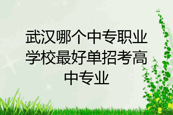 武汉哪个中专职业学校最好单招考高中专业