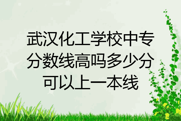 武汉化工学校中专分数线高吗多少分可以上一本线