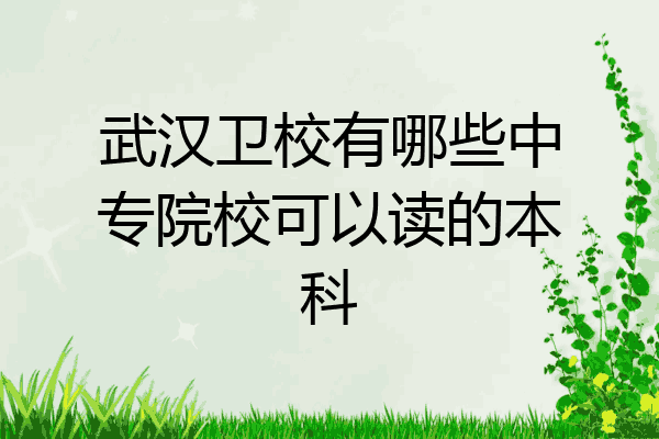 武汉卫校有哪些中专院校可以读的本科