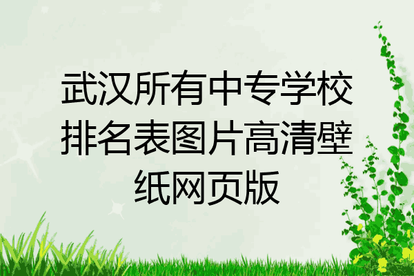 武汉所有中专学校排名表图片高清壁纸网页版