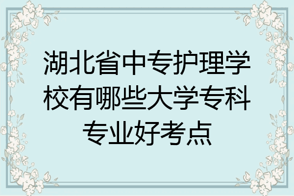 湖北省中专护理学校有哪些大学专科专业好考点