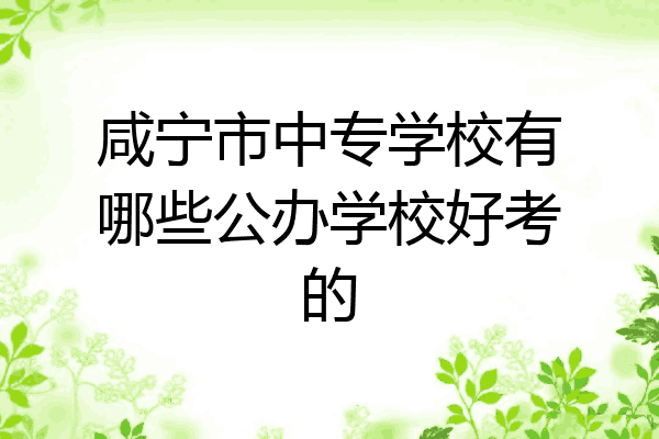 咸宁市中专学校有哪些公办学校好考的
