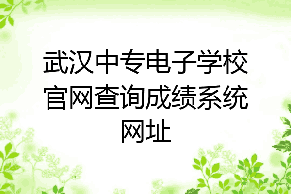武汉中专电子学校官网查询成绩系统网址