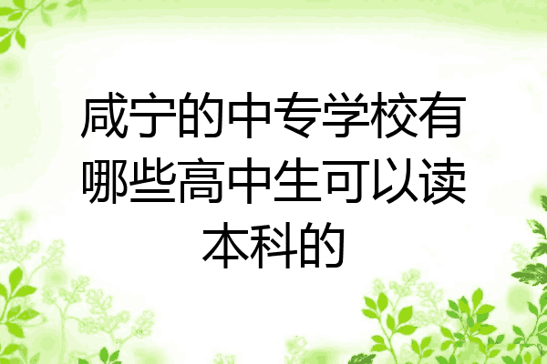 咸宁的中专学校有哪些高中生可以读本科的