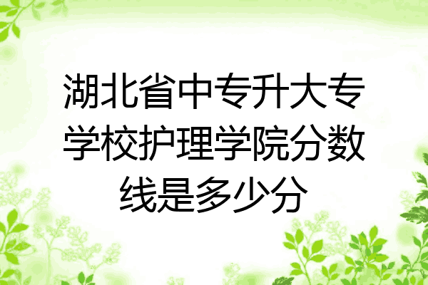 湖北省中专升大专学校护理学院分数线是多少分