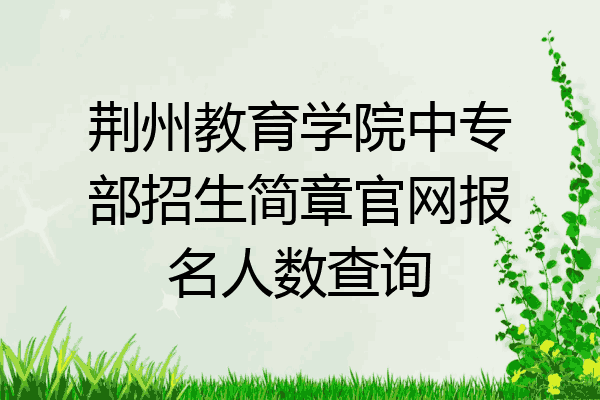 荆州教育学院中专部招生简章官网报名人数查询