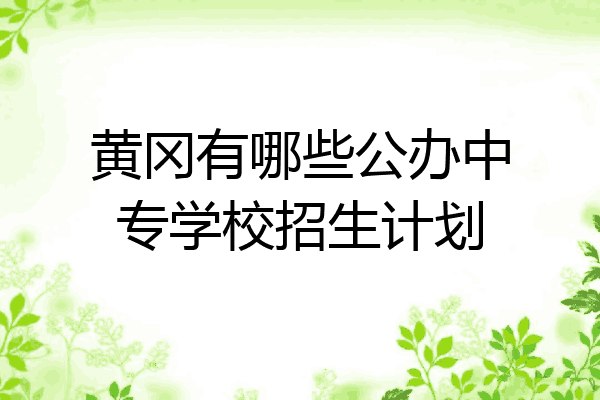 黄冈有哪些公办中专学校招生计划