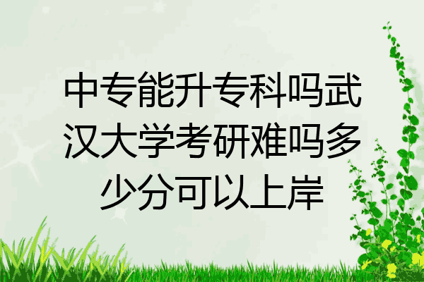 中专能升专科吗武汉大学考研难吗多少分可以上岸