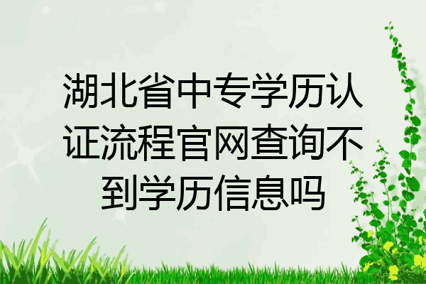 湖北省中专学历认证流程官网查询不到学历信息吗