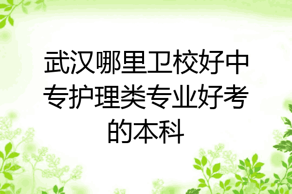 武汉哪里卫校好中专护理类专业好考的本科