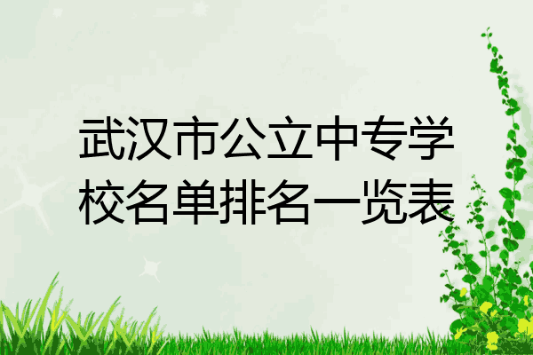 武汉市公立中专学校名单排名一览表