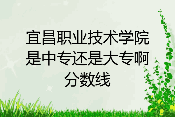 宜昌职业技术学院是中专还是大专啊分数线